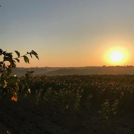 Domaine De Montgay * Nailloux